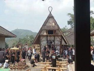 Pemkab Lebak Dorong Produksi Padi Kasepuhan Naik Jadi 6 Ton per Hektare