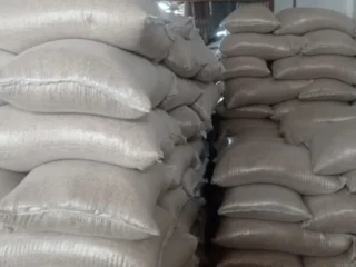 Lebak Perkuat Peran sebagai Lumbung Pangan Nasional, Surplus Beras Capai 240 Ribu Ton