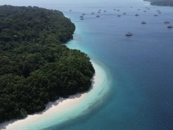 Dispar Banten Perkuat Branding Ujung Kulon sebagai Ikon Ekowisata Unggulan